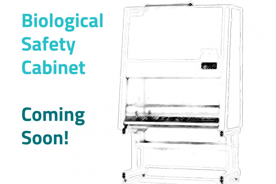 BİYOLOJİK GÜVENLİK KABİNİ (Class II/A2)